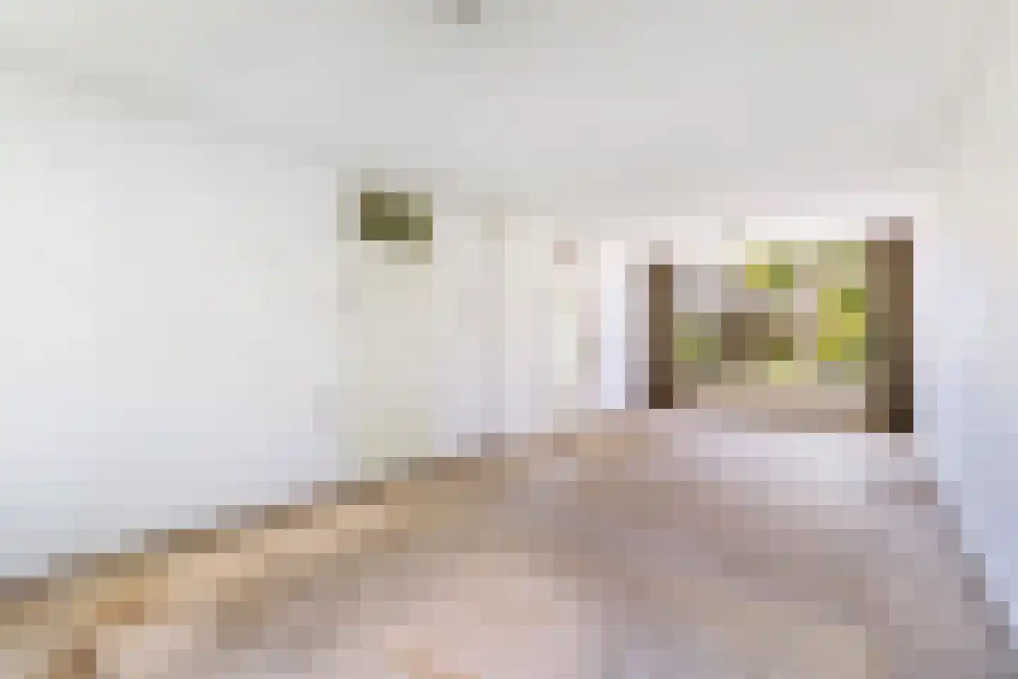 Klaproosstraat 47 Alphen aan den Rijn thumbnail 8