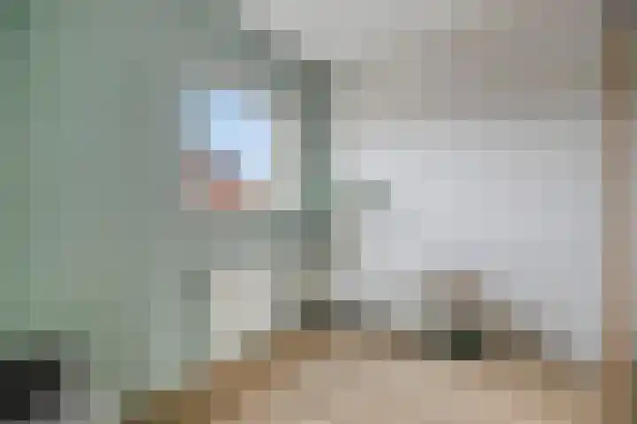 Klaproosstraat 47 Goes thumbnail 22