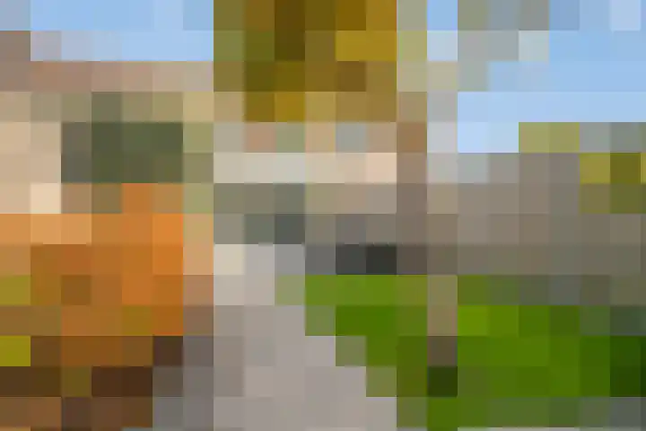 Klaproosstraat 47 Goes thumbnail 27
