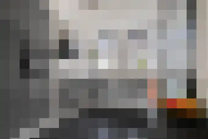 Klaproosstraat 47 Goes thumbnail 4