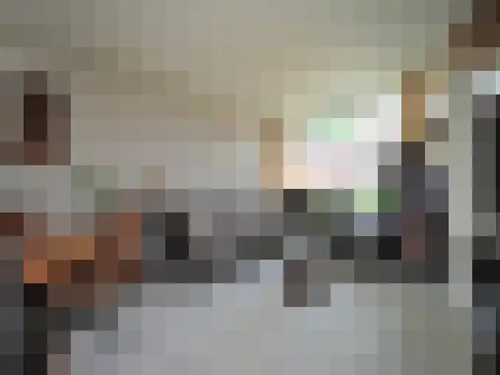 Klaproosstraat 47 Papendrecht thumbnail 12