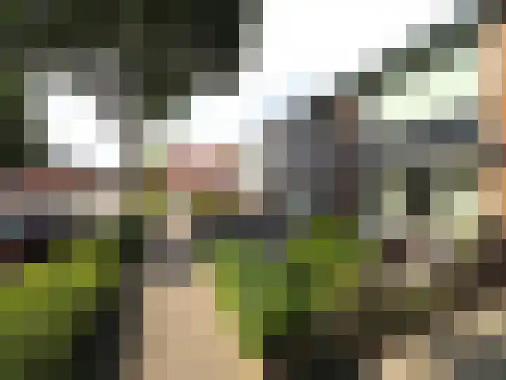 Klaproosstraat 47 Papendrecht foto 3