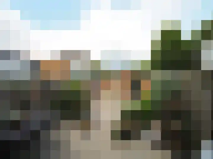 Klaproosstraat 47 Papendrecht thumbnail 38