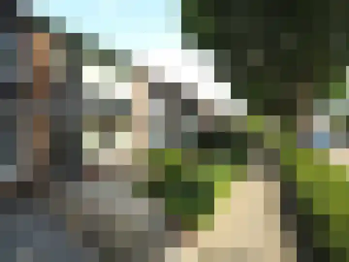 Klaproosstraat 47 Papendrecht thumbnail 4