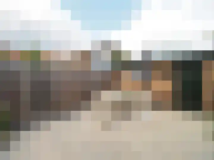 Klaproosstraat 47 Papendrecht thumbnail 41
