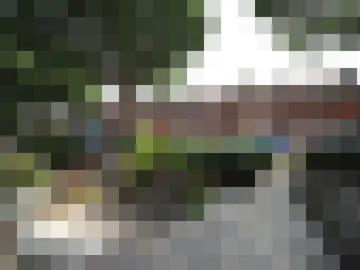 Klaproosstraat 47 Papendrecht thumbnail 6
