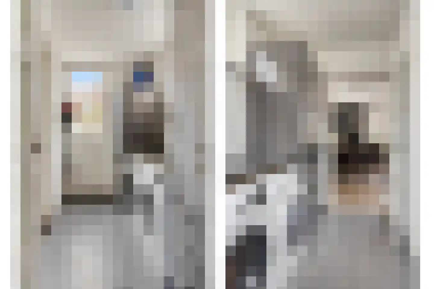 Klaproosstraat 49 Goes thumbnail 15