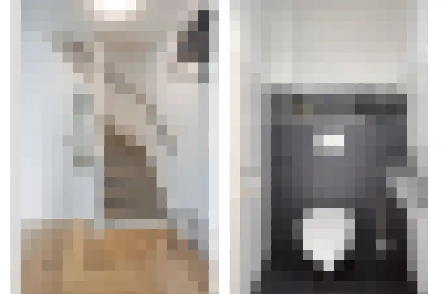 Klaproosstraat 49 Goes thumbnail 4