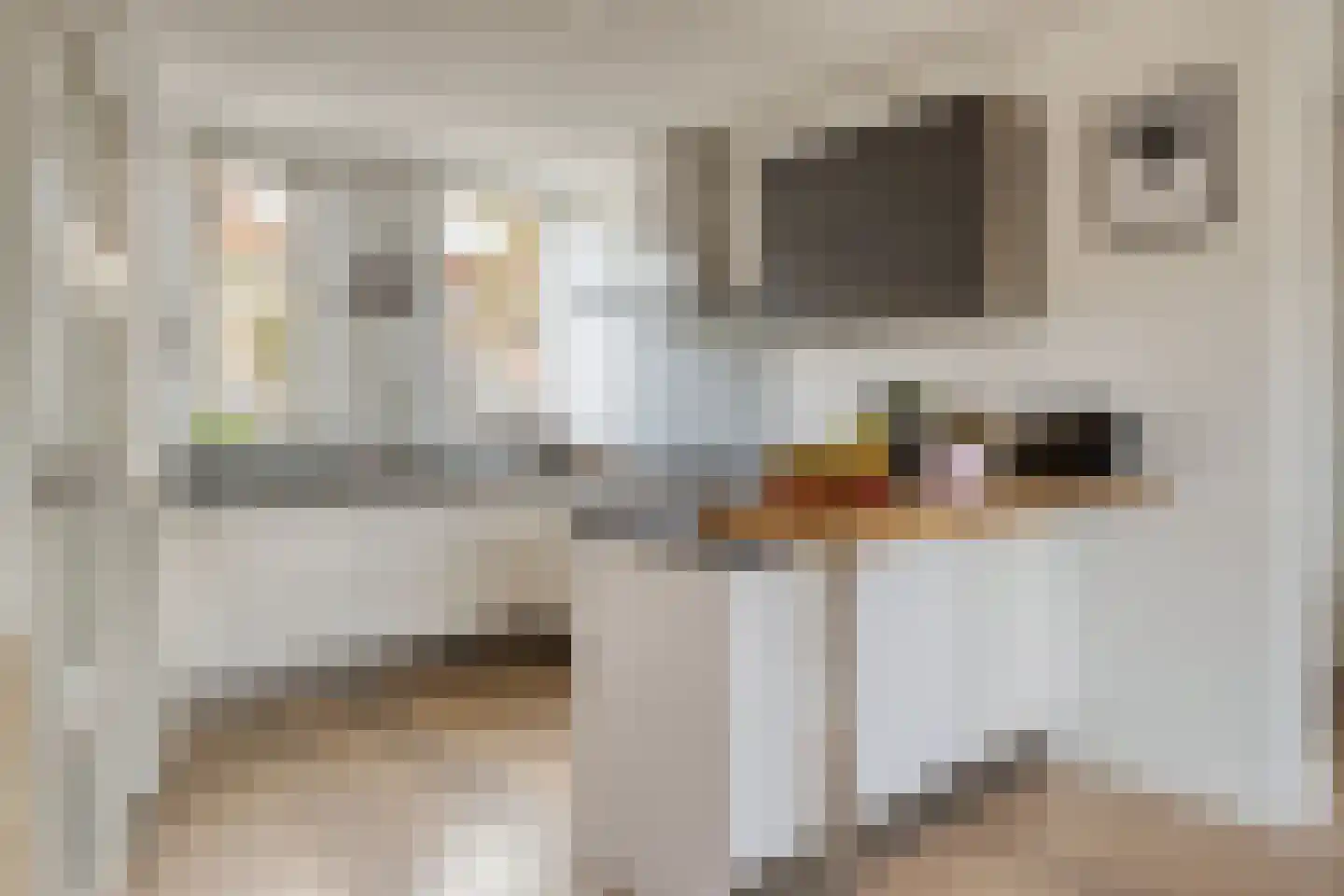 Klaproosstraat 49 Goes thumbnail 9