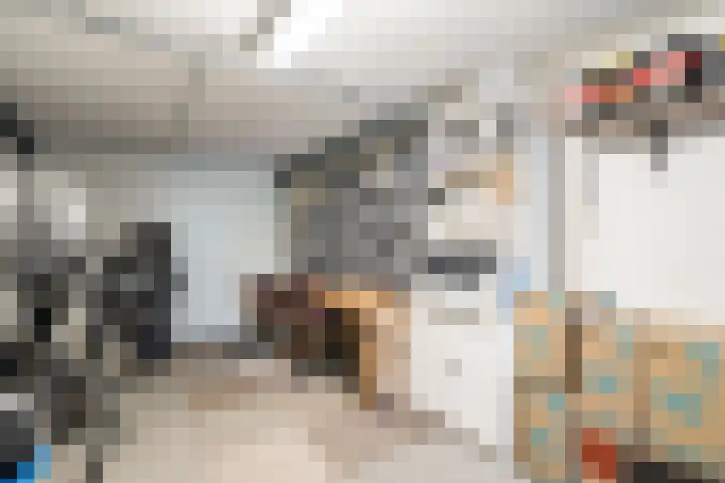 Klaproosstraat 49 Weert thumbnail 18