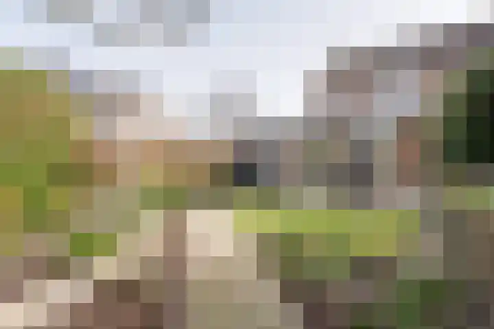 Klaproosstraat 49 Weert thumbnail 4