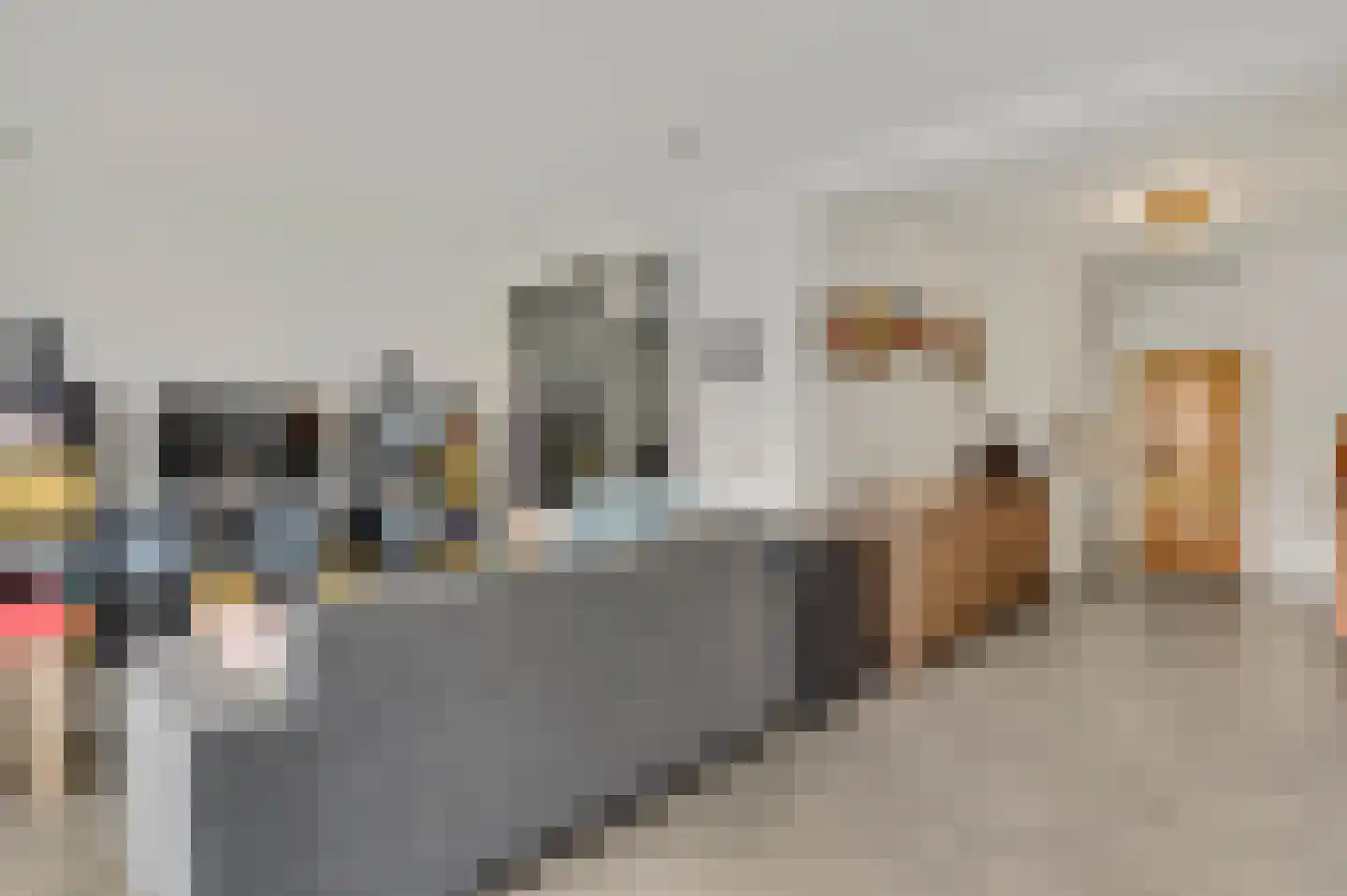 Klaproosstraat 5 Ospel thumbnail 17