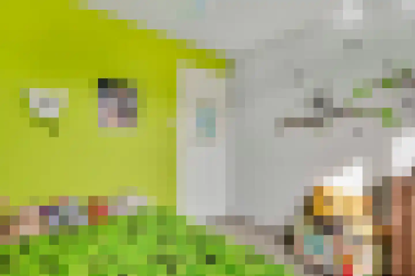 Klaproosstraat 5 Ospel thumbnail 31