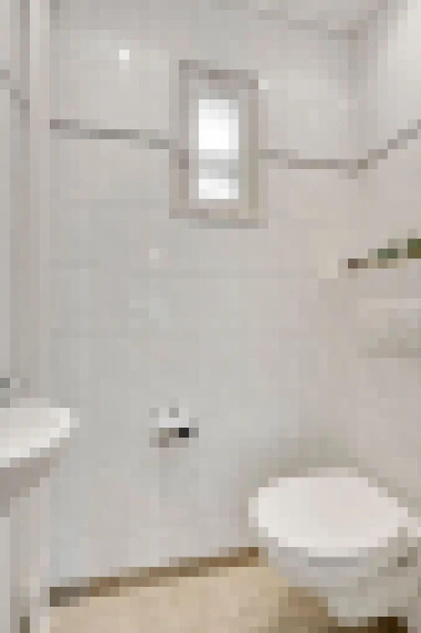Klaproosstraat 5 Ospel thumbnail 8