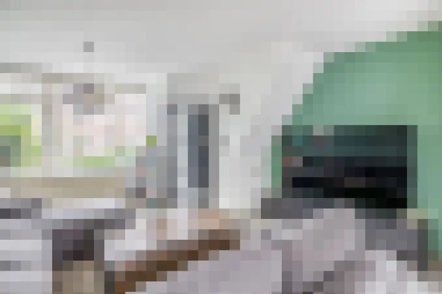 Klaproosstraat 51 Papendrecht thumbnail 11