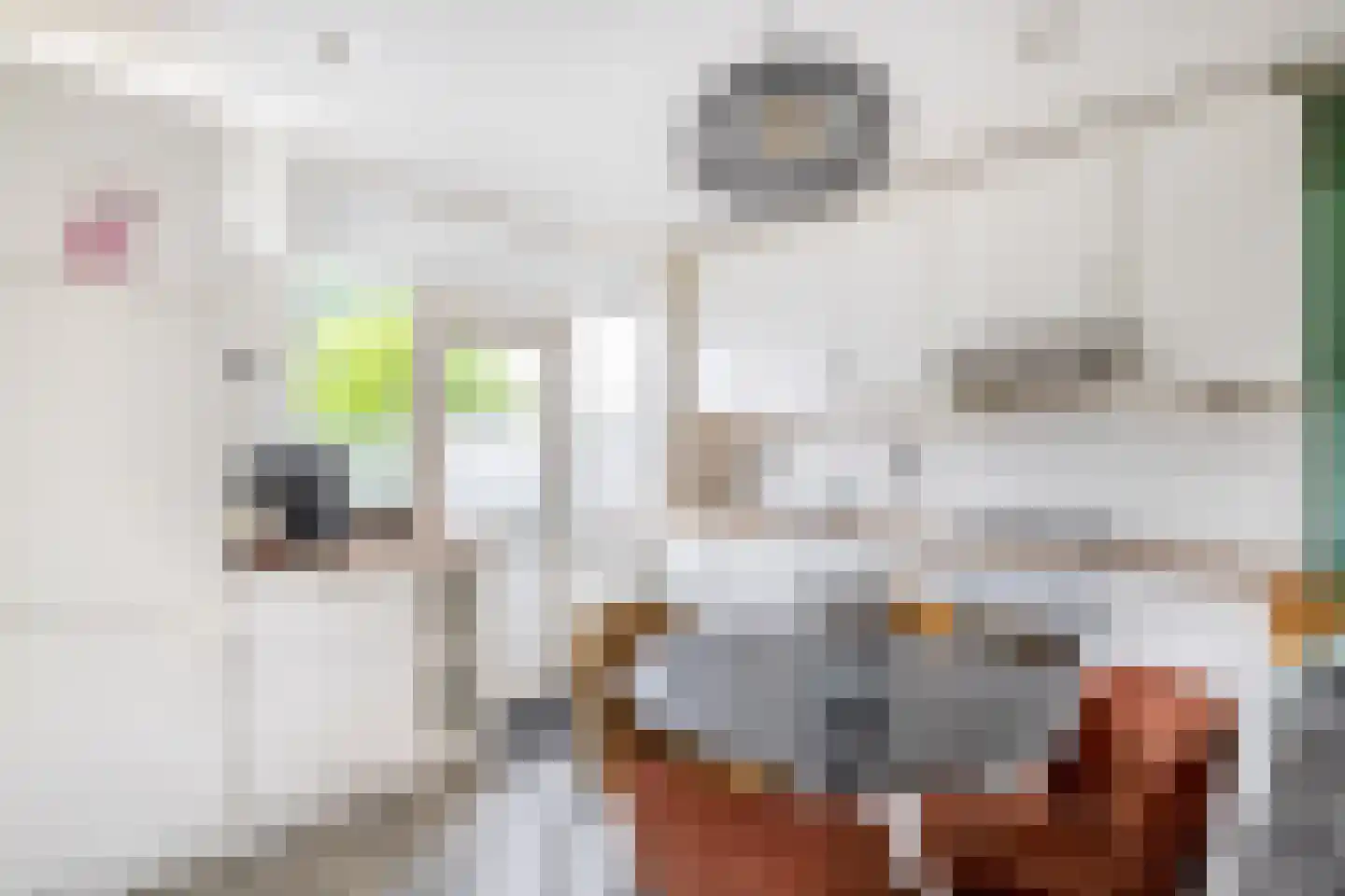 Klaproosstraat 51 Papendrecht thumbnail 13