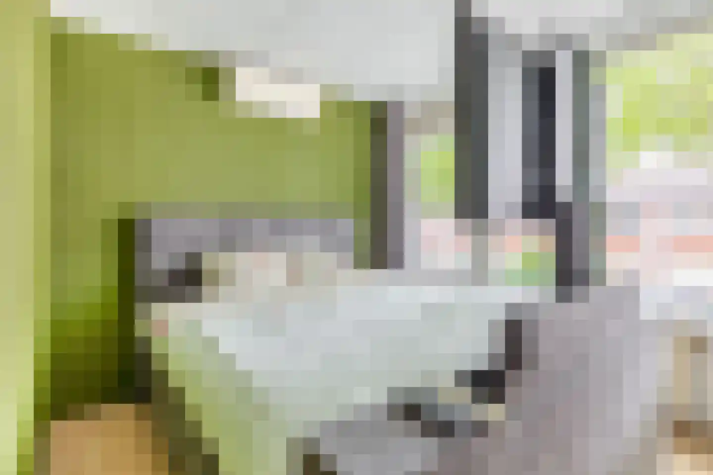 Klaproosstraat 51 Papendrecht thumbnail 16