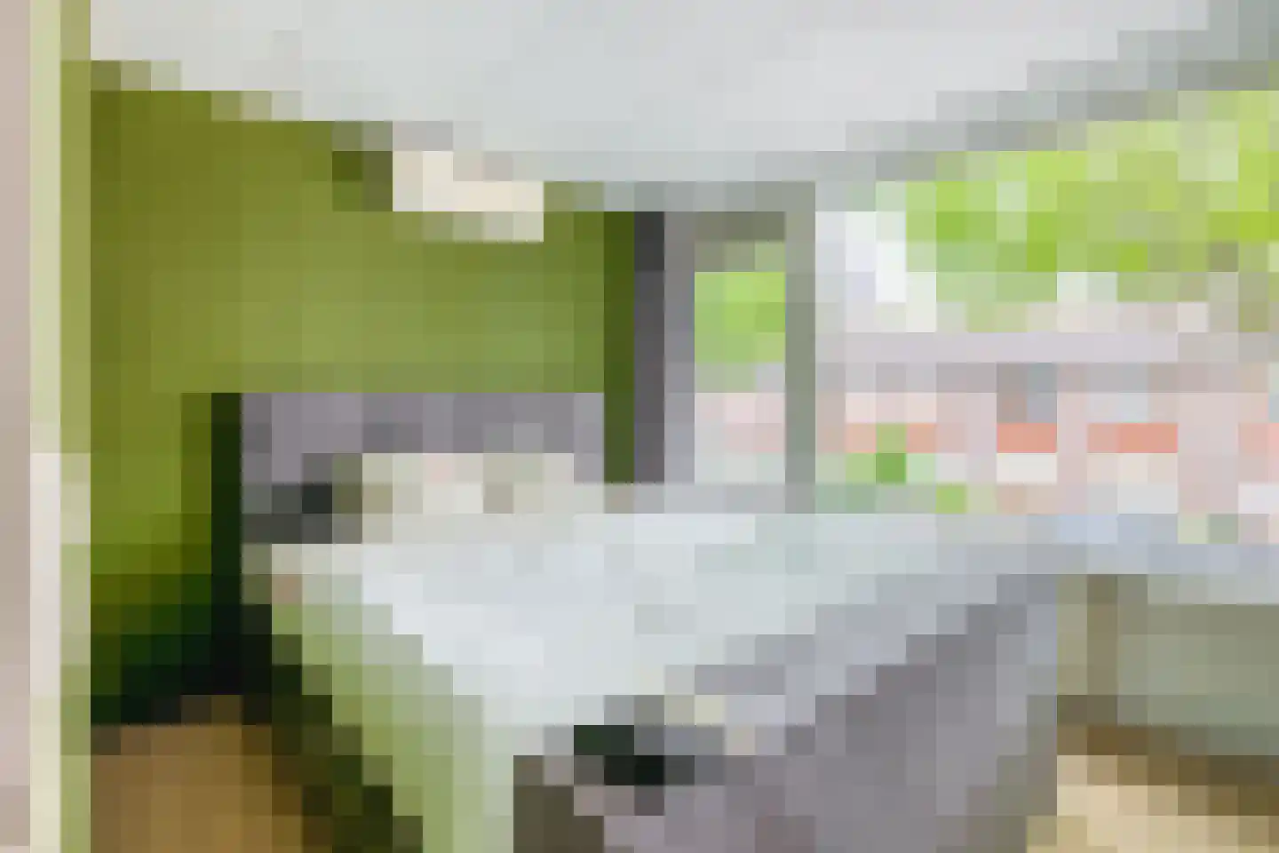 Klaproosstraat 51 Papendrecht thumbnail 19