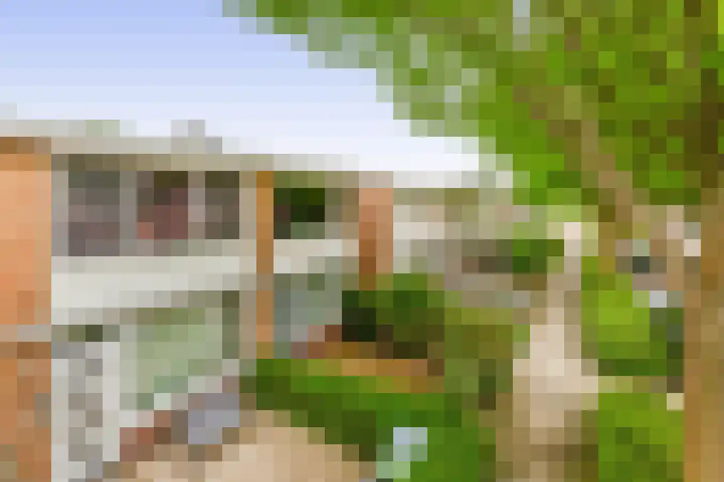 Klaproosstraat 51 Papendrecht thumbnail 31