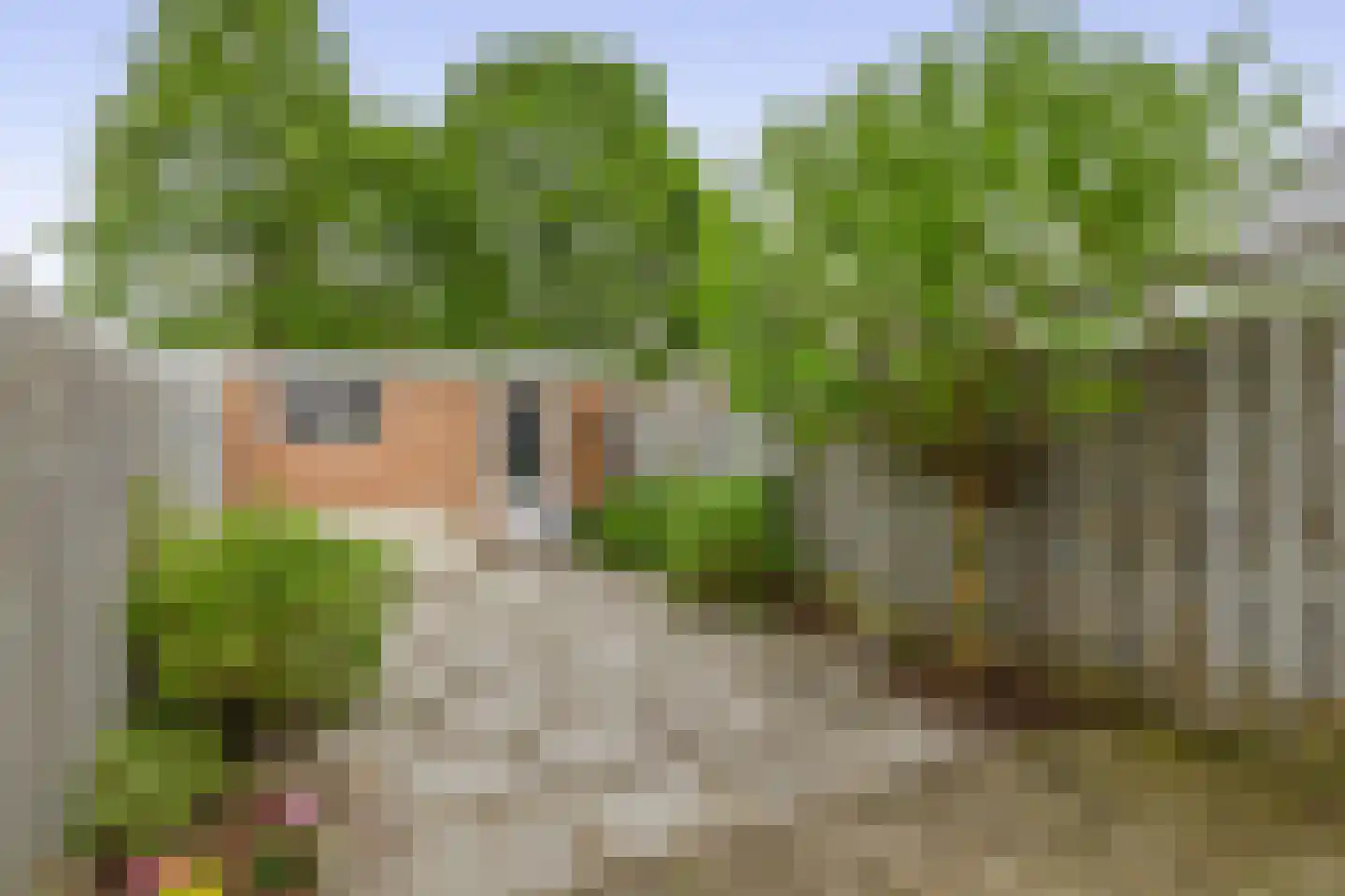 Klaproosstraat 51 Papendrecht thumbnail 35