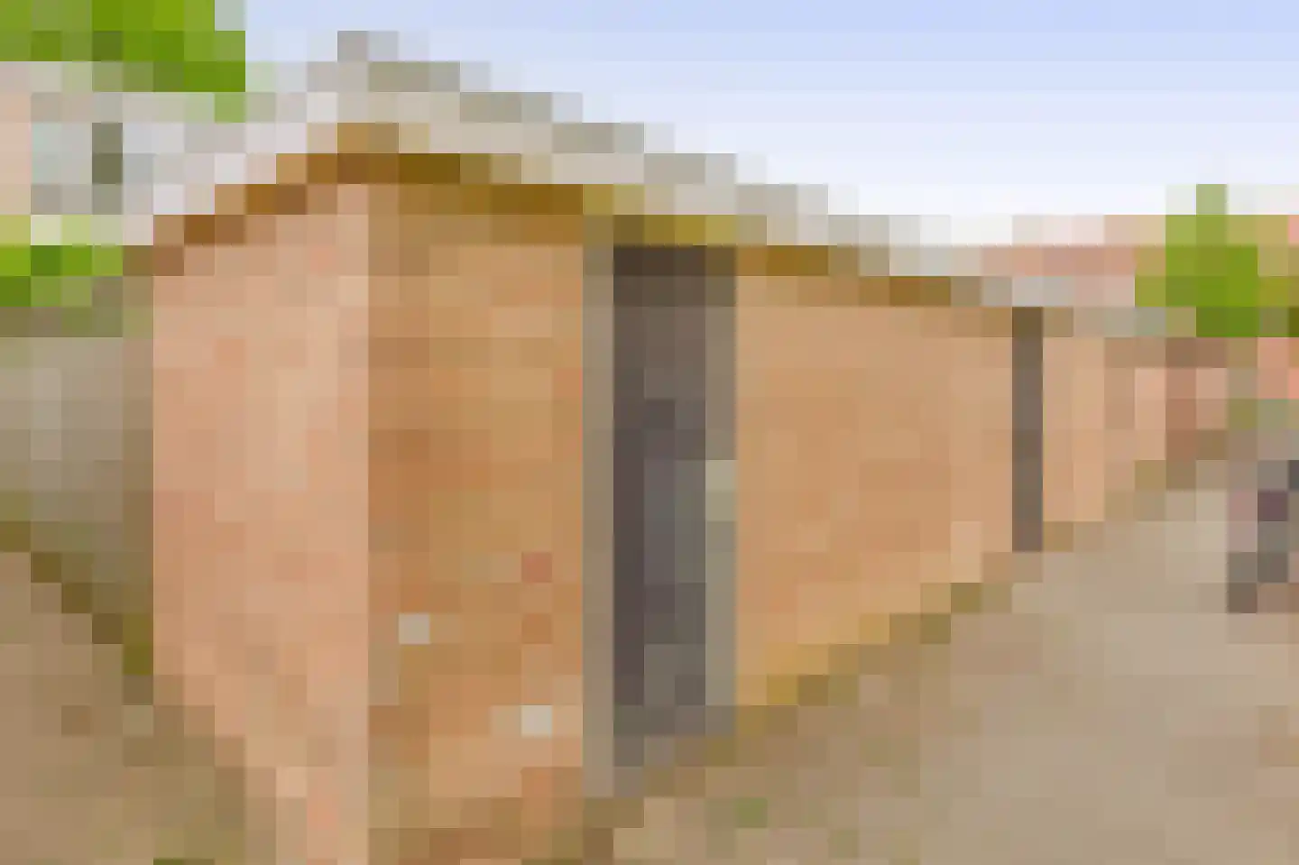 Klaproosstraat 51 Papendrecht thumbnail 41