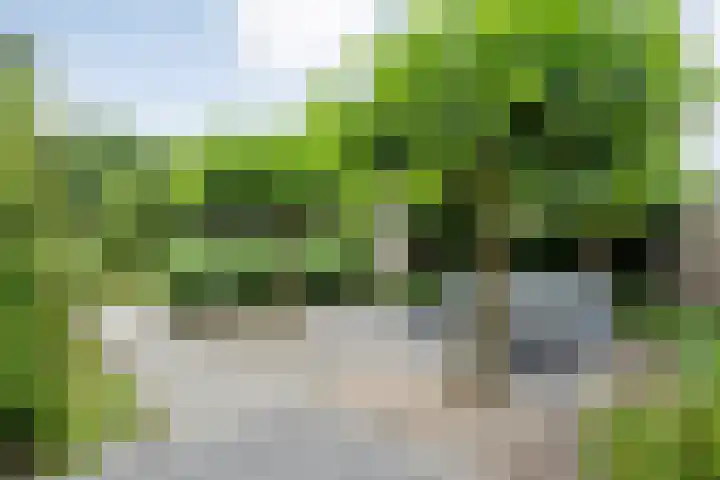 Klaproosstraat 52 Ommen thumbnail 42