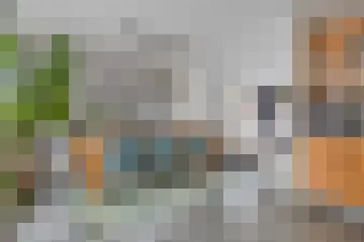 Klaproosstraat 59 Alphen aan den Rijn thumbnail 11