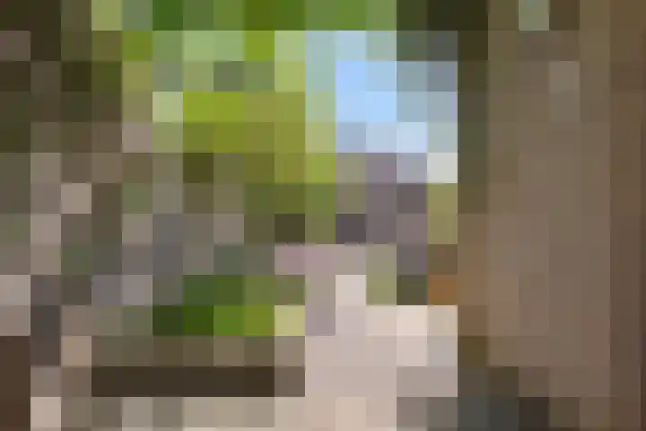 Klaproosstraat 6 Sint-Oedenrode thumbnail 4