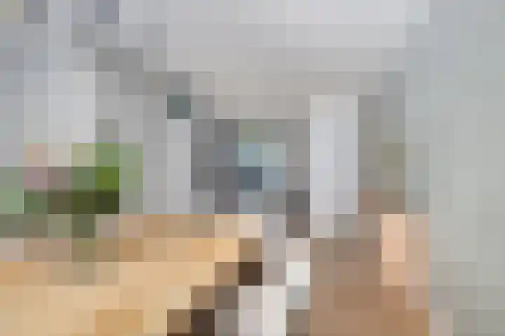 Klaproosstraat 6 Sint-Oedenrode thumbnail 8