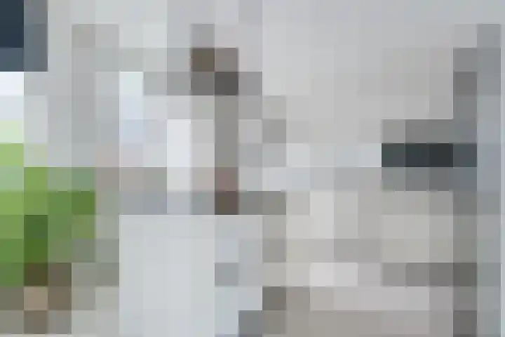 Klaproosstraat 64 Alphen aan den Rijn thumbnail 15