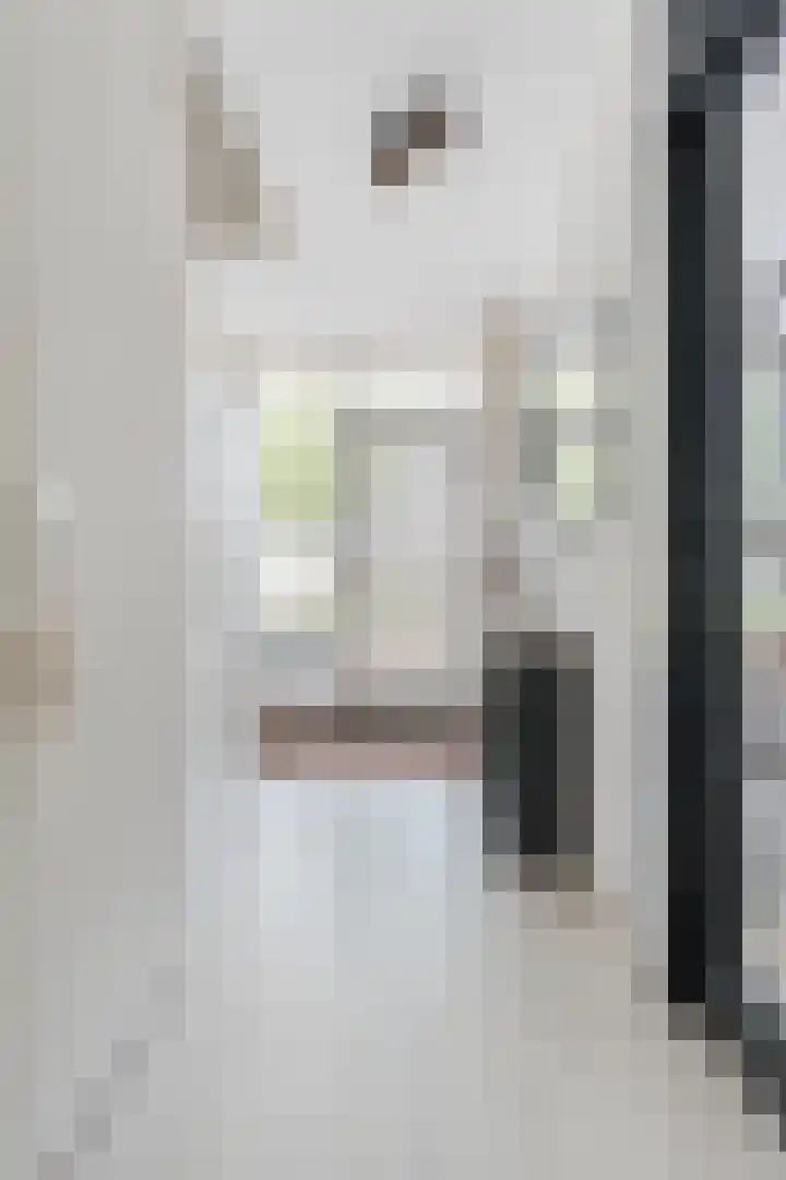 Klaproosstraat 64 Alphen aan den Rijn thumbnail 18