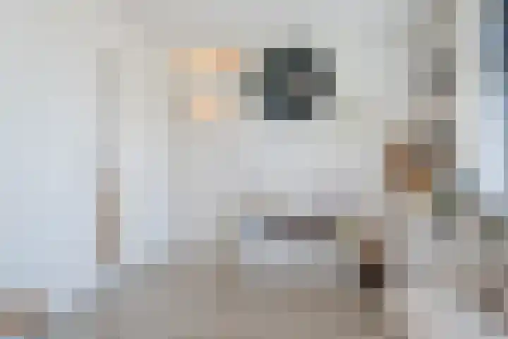 Klaproosstraat 64 Alphen aan den Rijn thumbnail 25