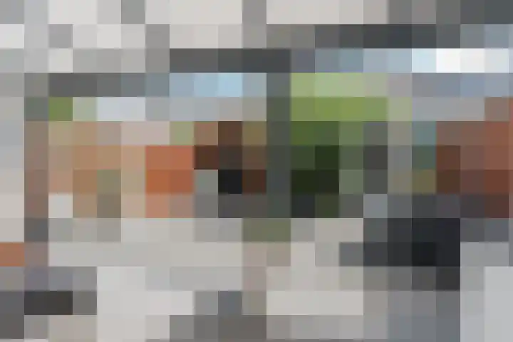 Klaproosstraat 64 Alphen aan den Rijn thumbnail 41