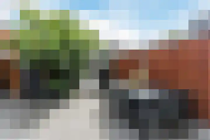 Klaproosstraat 64 Alphen aan den Rijn thumbnail 45