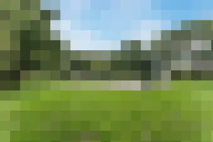 Klaproosstraat 64 Alphen aan den Rijn thumbnail 48