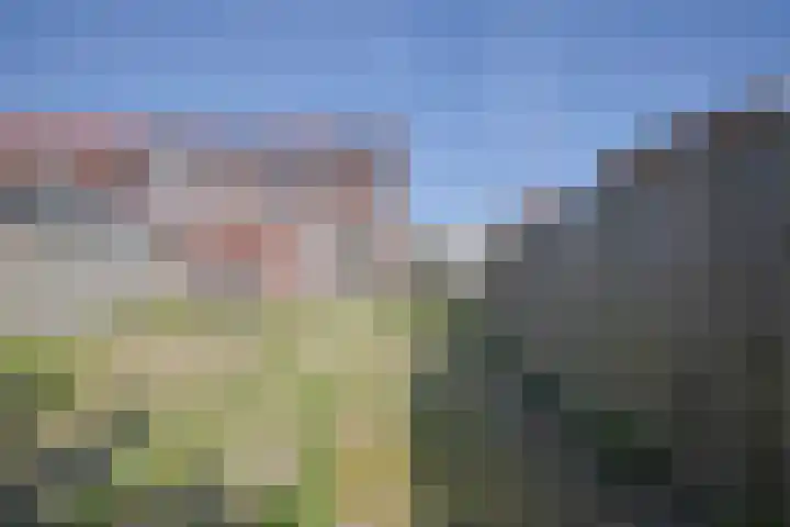 Klaproosstraat 7 Geleen thumbnail 16