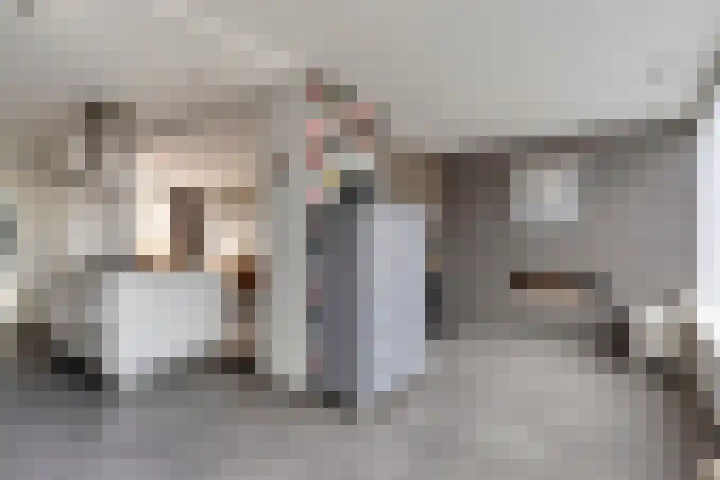 Klaproosstraat 7 Ospel thumbnail 11