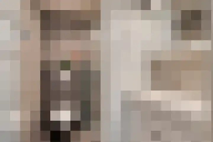 Klaproosstraat 7 Ospel thumbnail 22
