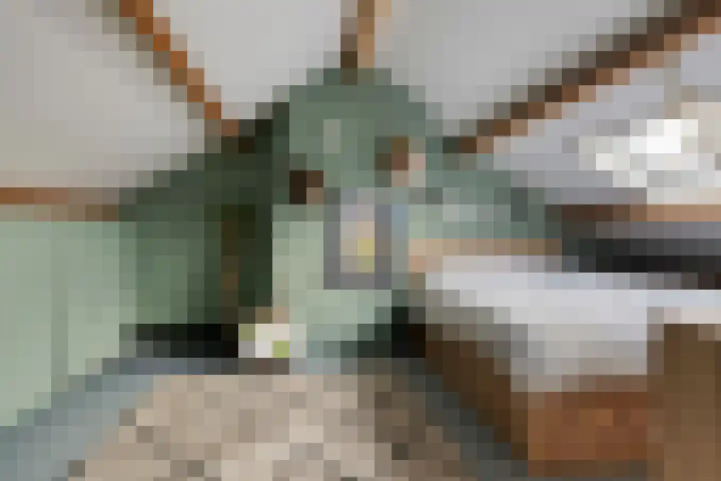 Klaproosstraat 7 Ospel thumbnail 26