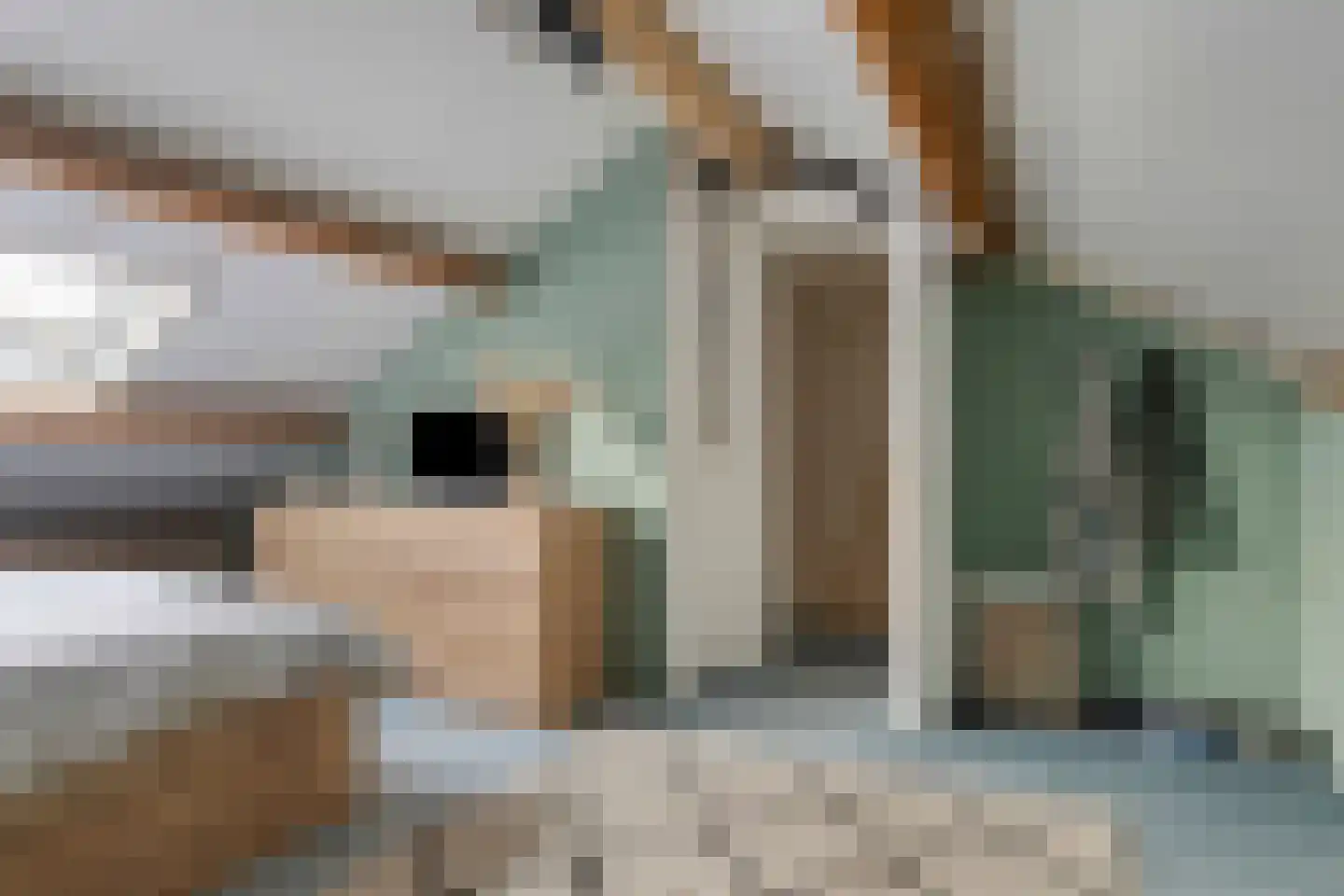 Klaproosstraat 7 Ospel thumbnail 28