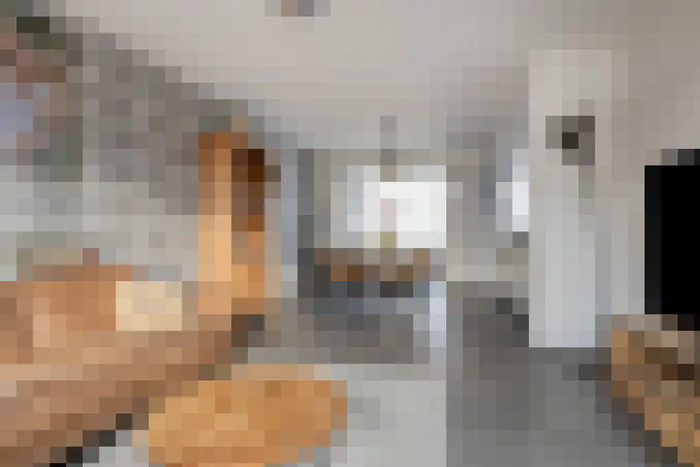 Klaproosstraat 7 Ospel thumbnail 6