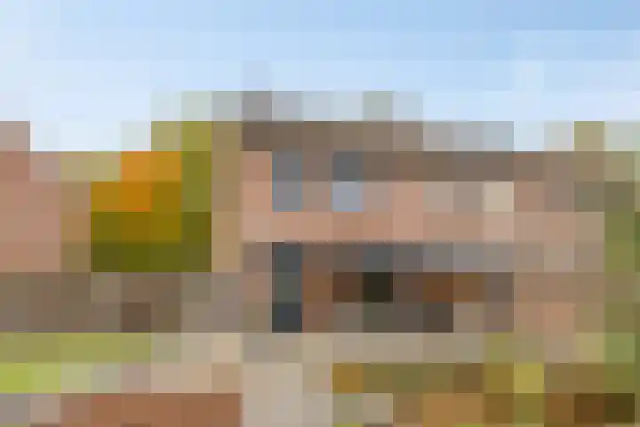 Klaproosstraat 74 Weert thumbnail 27