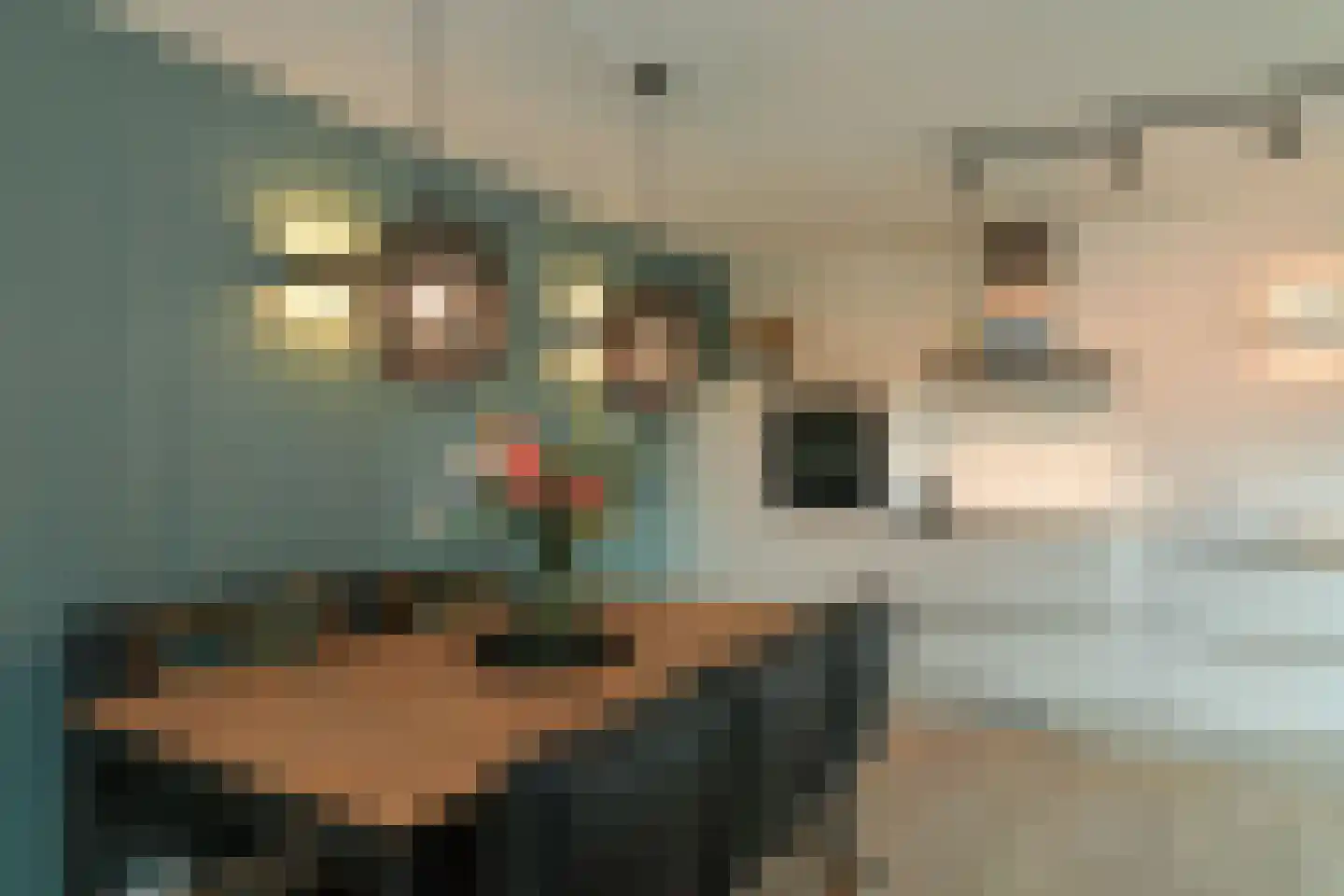 Klaproosstraat 8 b Rheden thumbnail 13