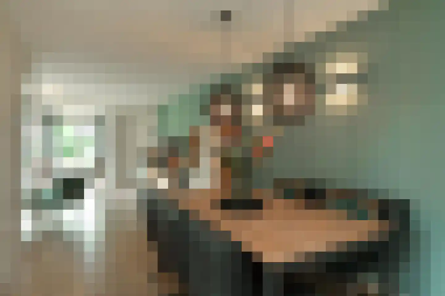 Klaproosstraat 8 b Rheden thumbnail 14