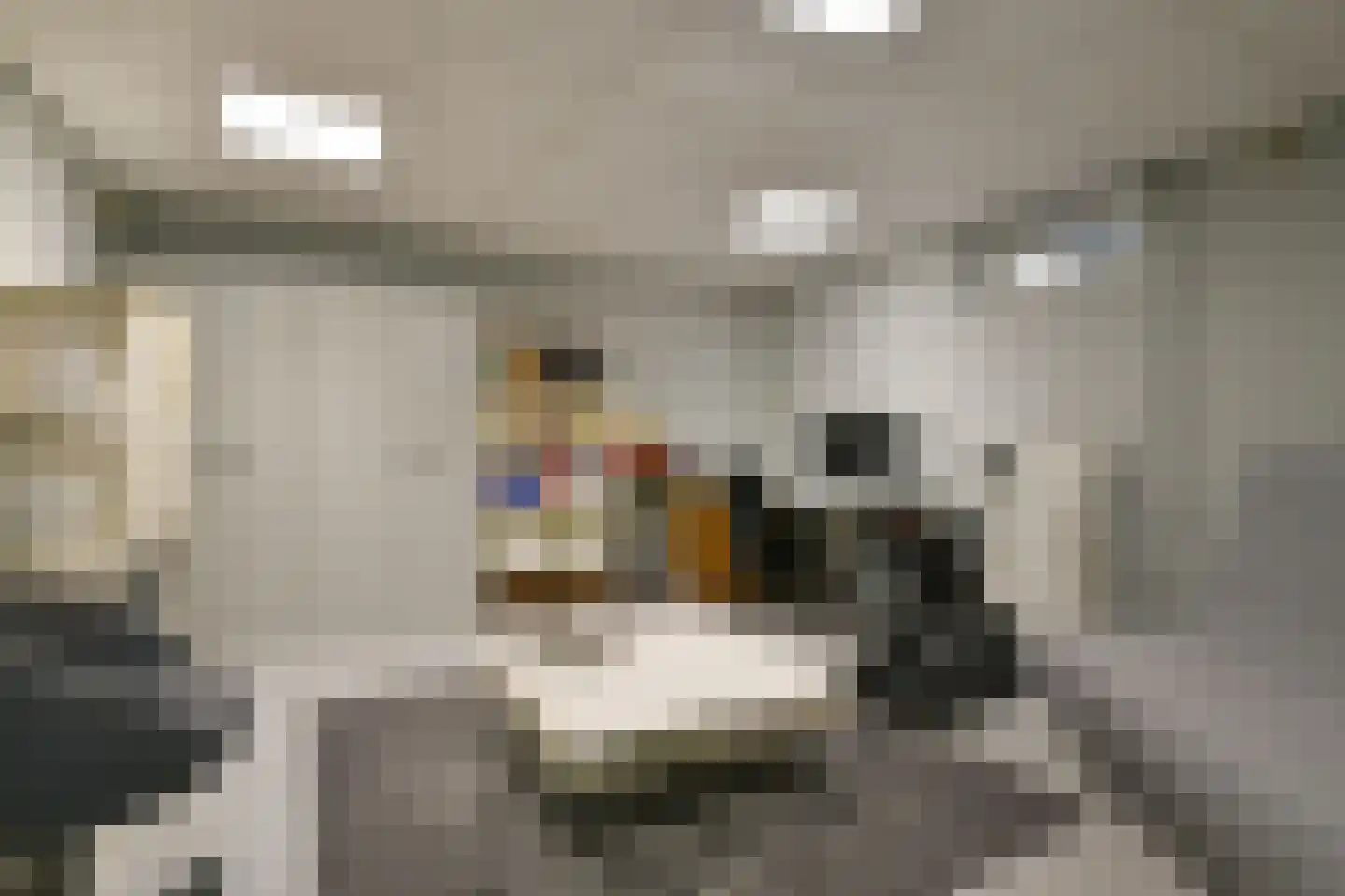 Klaproosstraat 8 b Rheden thumbnail 21