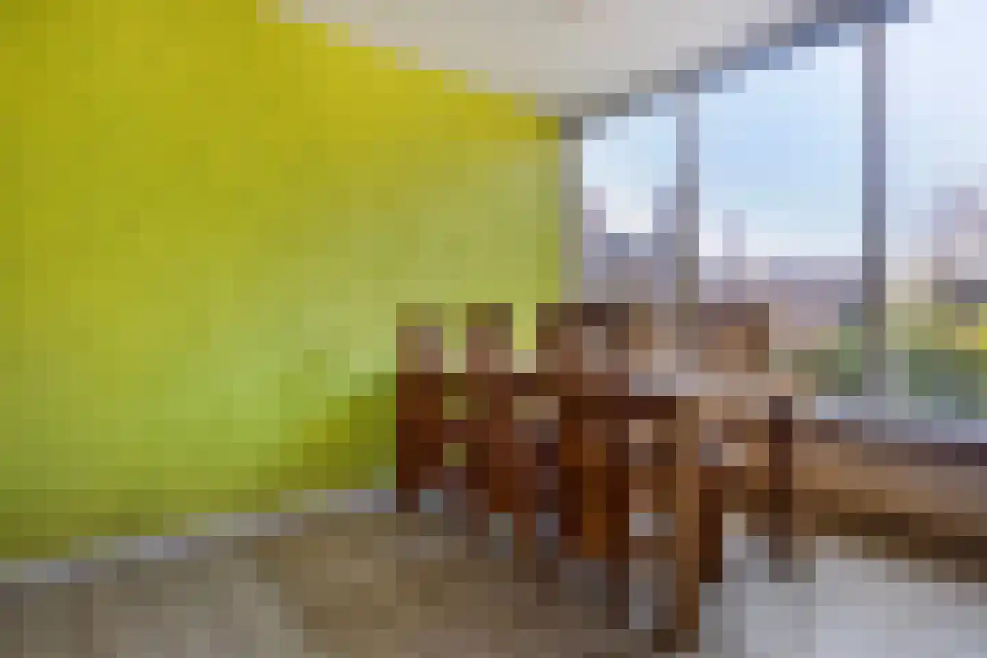 Klaproosstraat 8 Heenvliet thumbnail 5