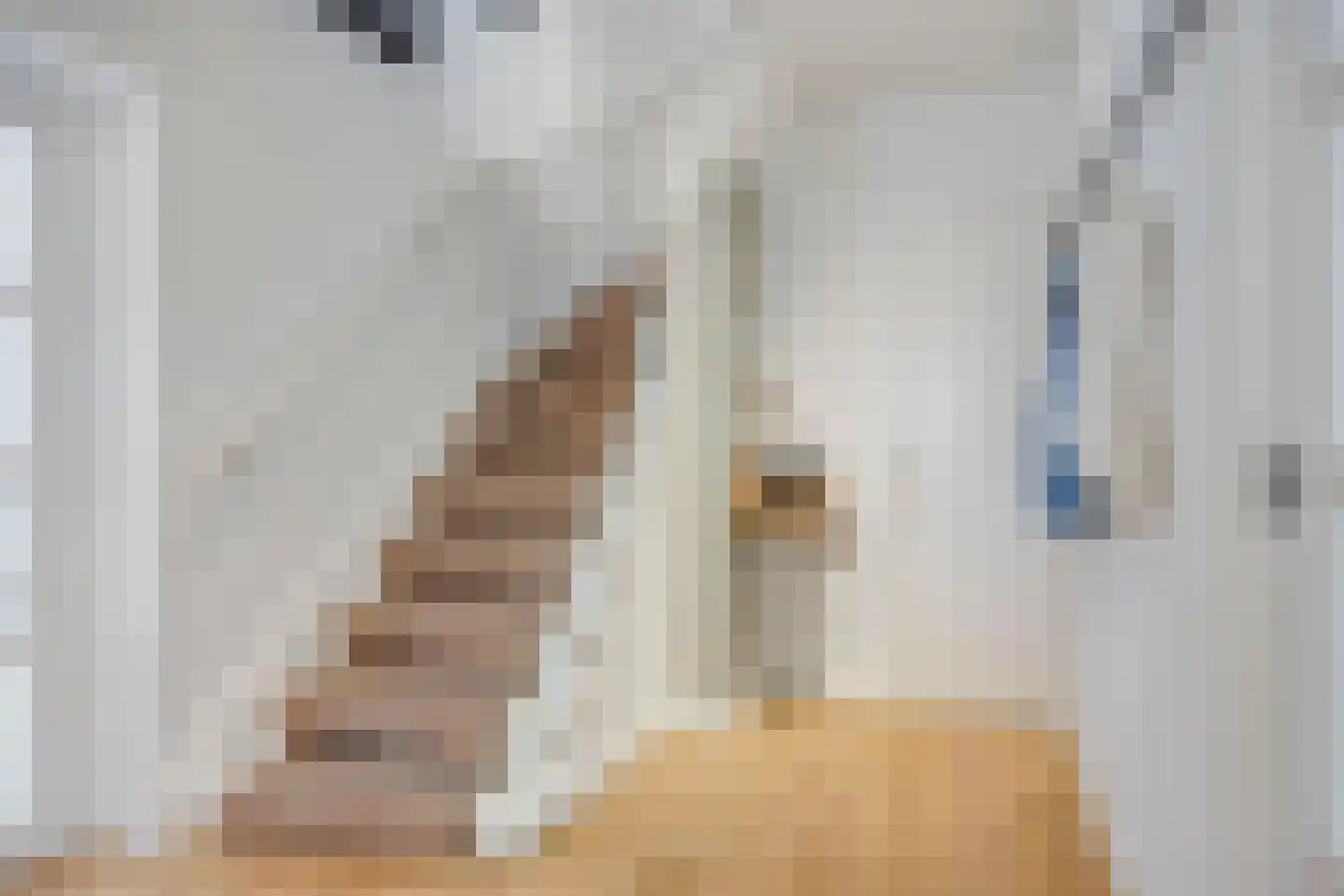 Klaproosstraat 9 Berkel-Enschot thumbnail 21