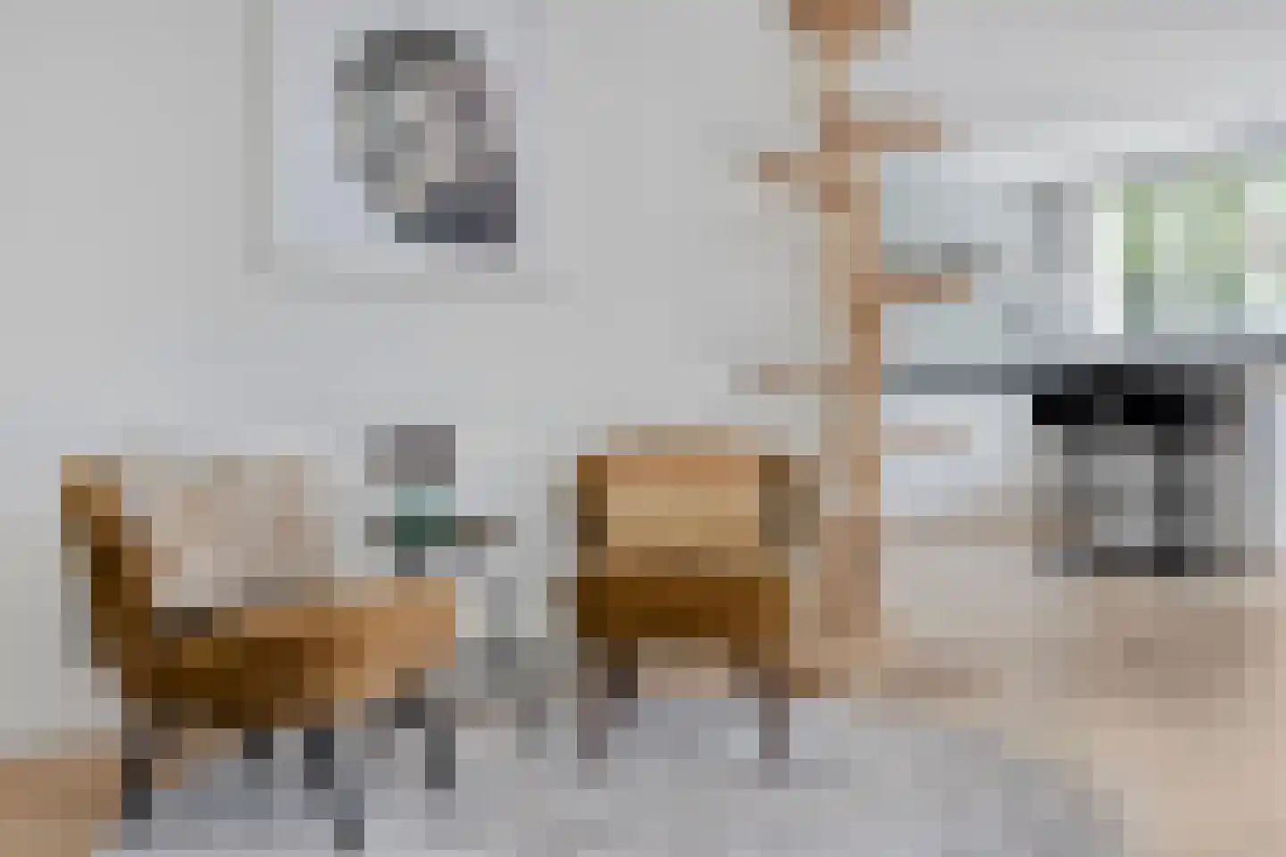 Klaproosstraat 9 Berkel-Enschot thumbnail 8