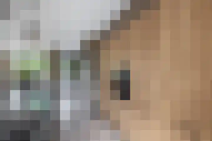 Klaproosveld 4 Nieuwerkerk aan den IJssel thumbnail 14