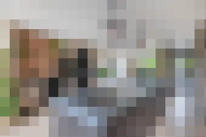 Klaproosveld 4 Nieuwerkerk aan den IJssel thumbnail 16